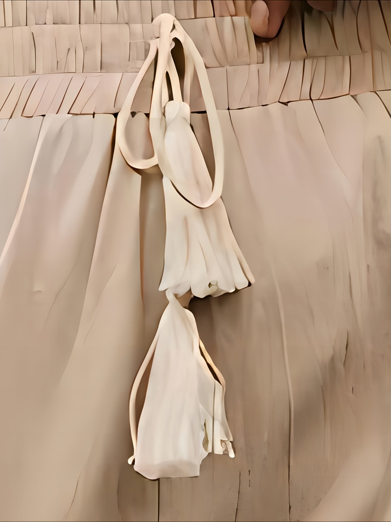  Solid Frill Trim Drawstring Wide Leg Pants