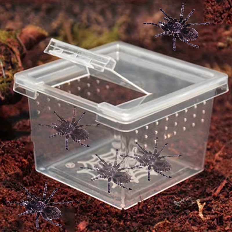 Reptile Breeding Box for Pet Spider Larvae