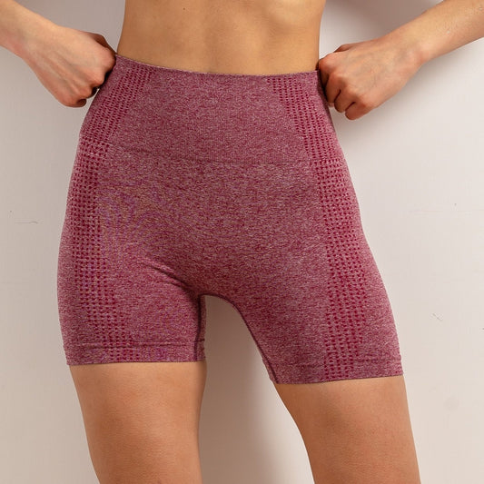 Quick Dry Yoga Shorts High Waist Tummy Control Women's Activewear