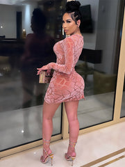 Velvet Semi Sheer Zipper Long Sleeve Bodycon Dress Women's Plus