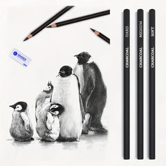 33-Piece Pro Drawing Kit Sketching Pencils Set Travel Case Charcoal Stick