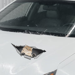 1pc Cat Car Sticker Animal Car Sticker Cartoon Decoration Sticker