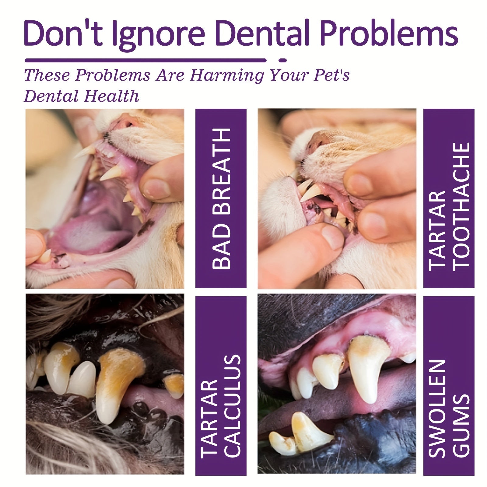 Pet Toothpaste for Dog and Cat Oral Care