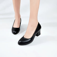 Chunky Heel Court Shoes Pointed Toe Low Heels Women's Footwear