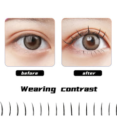 Natural Fairy Grafted Individual Cluster Eyelashes for Longer Thicker Lashes