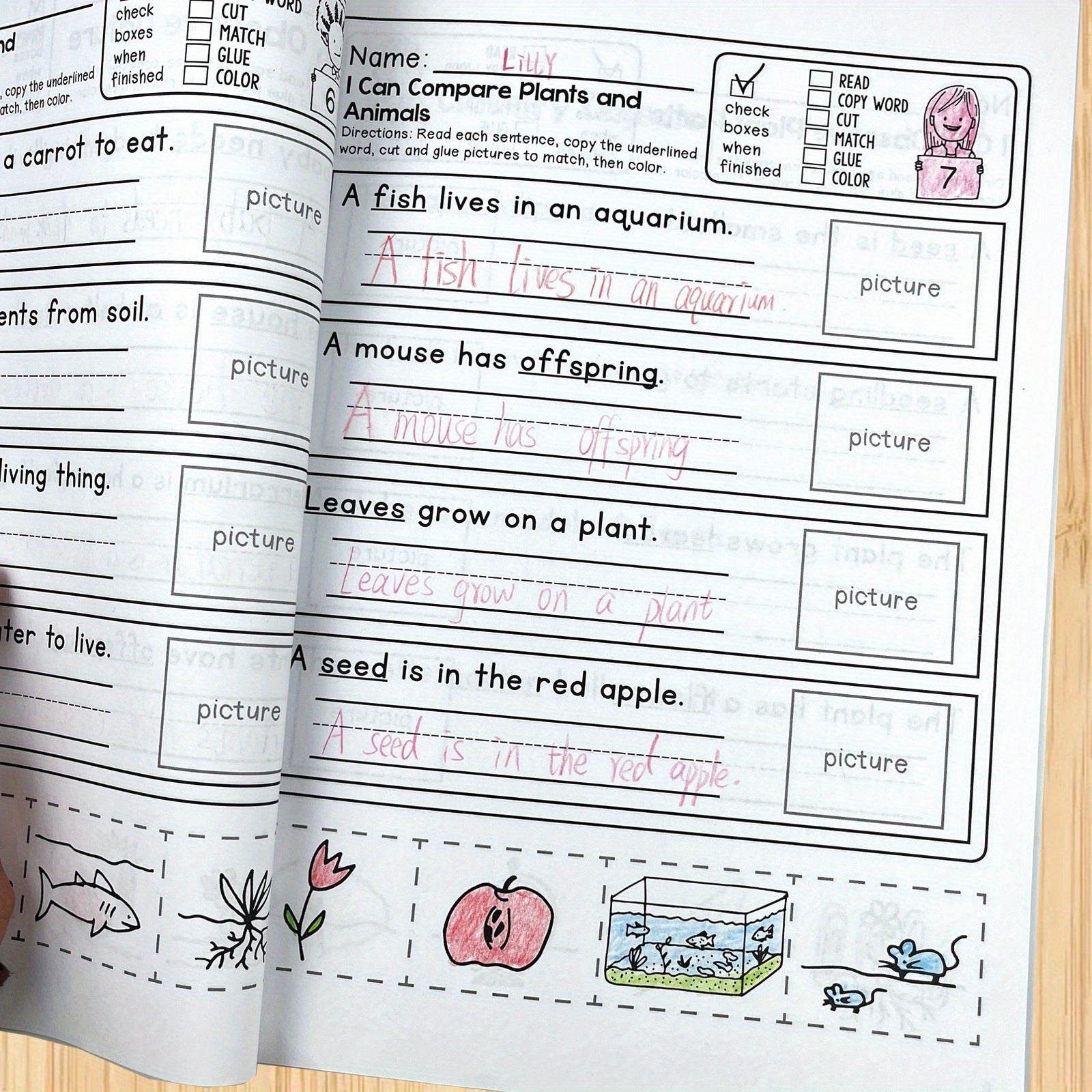 Kids Activity Book with Observation Checklists & Writing Prompts