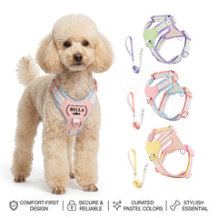 img_5203049