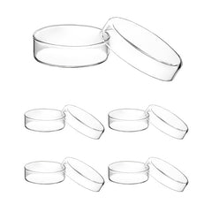 img_12904056