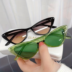 Y2K Cat Eye Sunglasses UV400 Sun Shades for Summer Beach Party