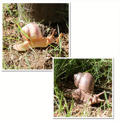 Simulated Animal Snail Novelty Toy