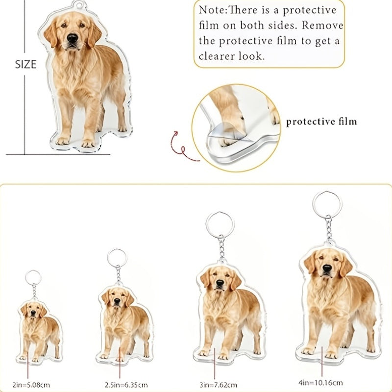 img_6606216