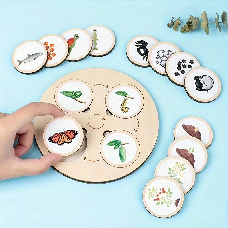 Wooden Life Cycle Board Game Educational Science Toy