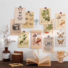 30pcs Bio Postcards Botanical Wall Stickers Room Decoration Cards 9 14