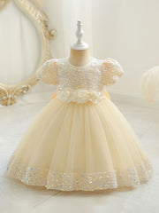 Baby Girls Flower Bowknot Decor Puff Sleeve Mesh Sequin Princess Dress