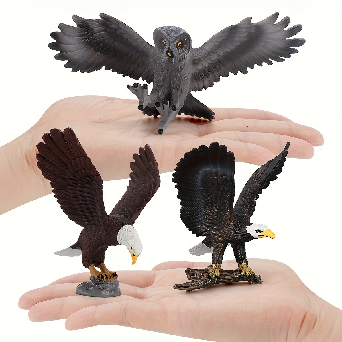 Bird Animal Solid Model Owl headed Vulture green Parrot