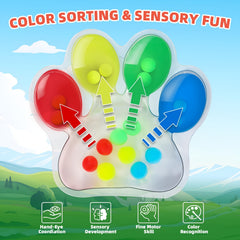 Educational Sorting Toy for Fine Motor Skills