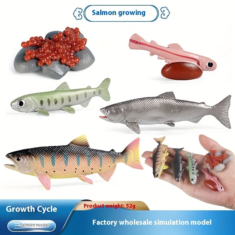 Marine Animals Growth Cycle Models Set