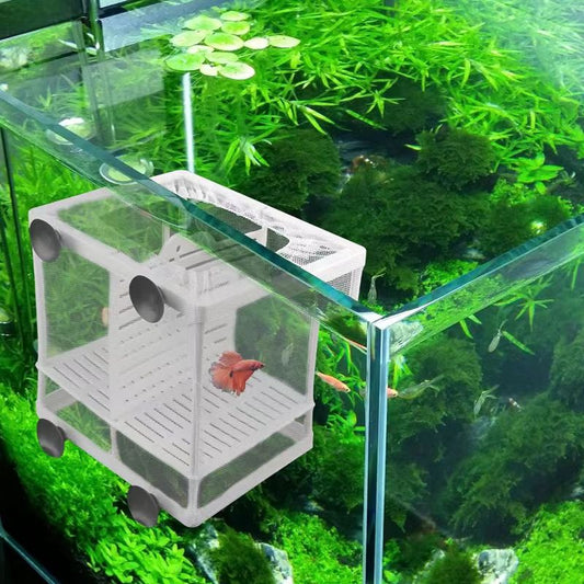 Peacock Fish Incubation Box Aquarium Isolation Net