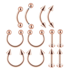 12PC Stainless Steel Body Piercing Jewelry Set 16G Nose Lip Tongue Cartilage
