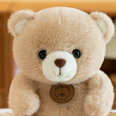 Claw Machine Bear Plush Toy