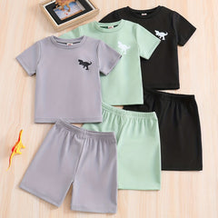 Boys Dinosaur Graphic Print T-shirt & Shorts Set