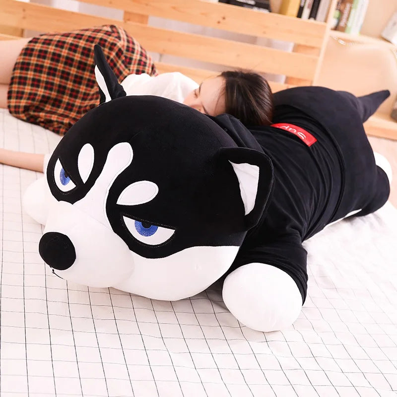 img_2923198