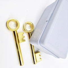 Magic Key Metal Party Prop with 3 Surprise Reveals - No Batteries Needed
