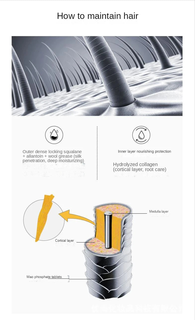 img_376557