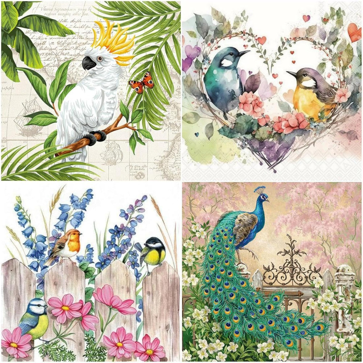 img_20523623