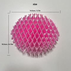 Elastic Fun Net Game Toy Kingsday Goods