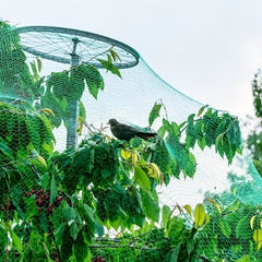 Anti Bird Netting for Plants Trees Vegetables