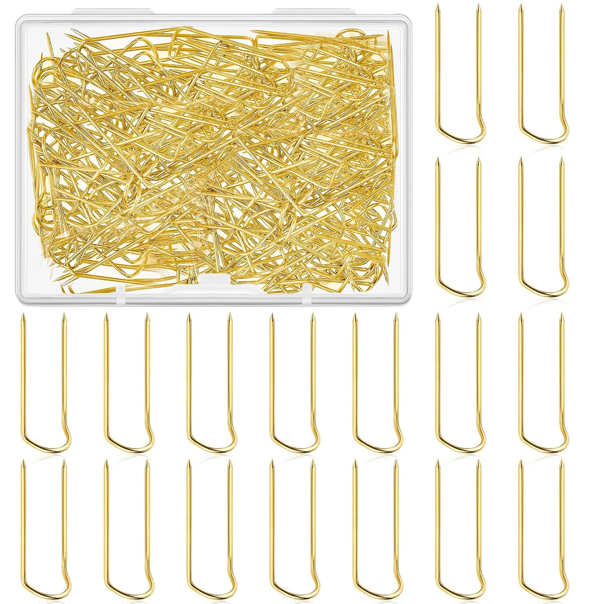 img_20519962