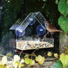 Clear Bird Feeder with Suction Cups for Window or Wall