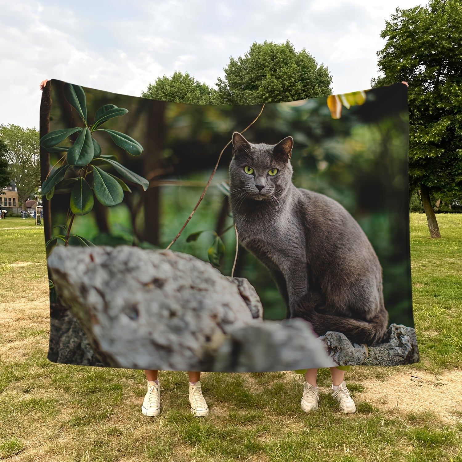 Cat Blanket Soft Comfortable Warm Lightweight Blanket for Home Bed