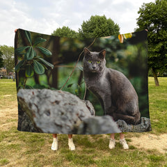 Cat Blanket Soft Comfortable Warm Lightweight Blanket for Home Bed