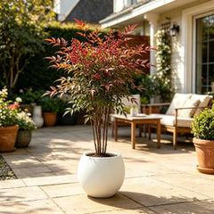 img_5477922