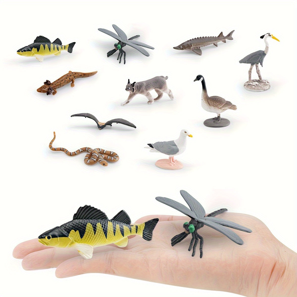 Realistic North American Wildlife Animal Model Set