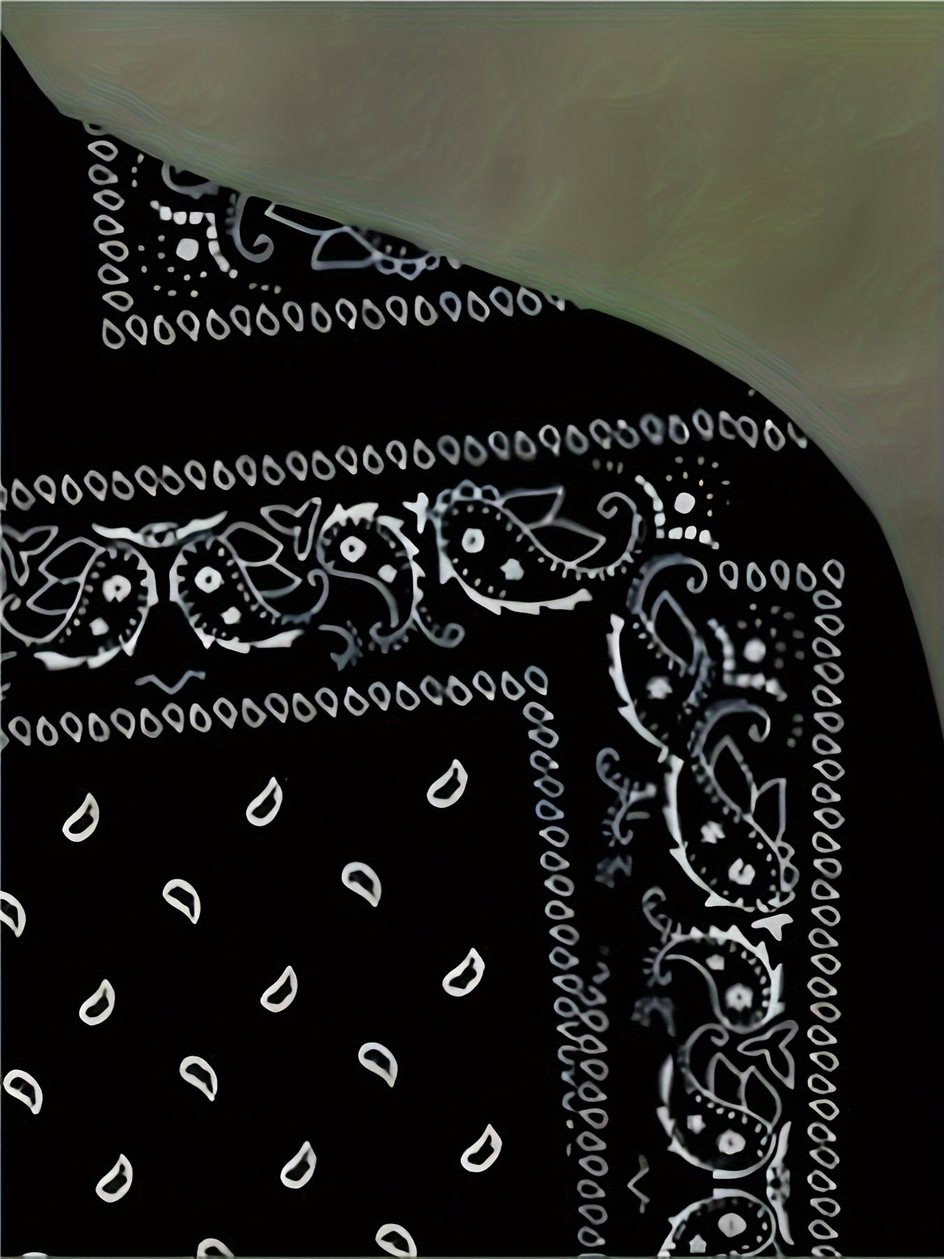 Men's Casual Paisley Pattern Soft shell Jacket Baseball Collar Varsity Jacket