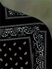 Men's Casual Paisley Pattern Soft shell Jacket Baseball Collar Varsity Jacket