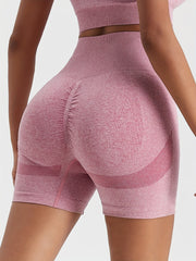 3pcs High Waist Seamless Sports Biker Shorts for Women
