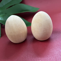 2pcs DIY Wooden Bird Egg Painting Toys