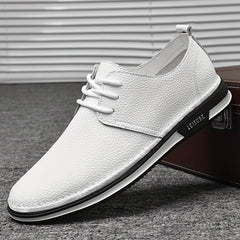 Men's Smart Casual Walking Shoes, Lace Up, Assorted Colors