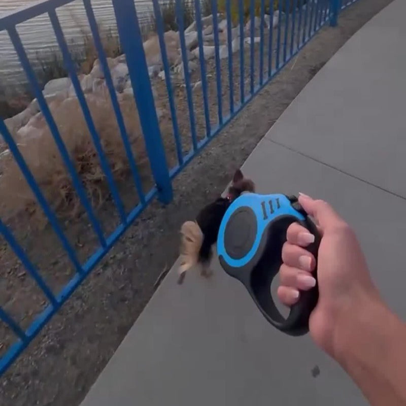 img_4095023