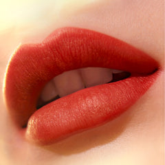 5 Colors Chinese Style Matte Velvet Lipstick Set Gift
