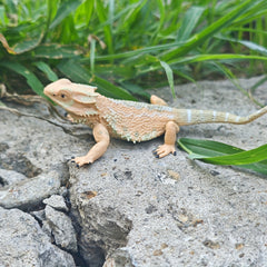 1pc Simulated Pine Lizard Ornament for Desert Scene DIY
