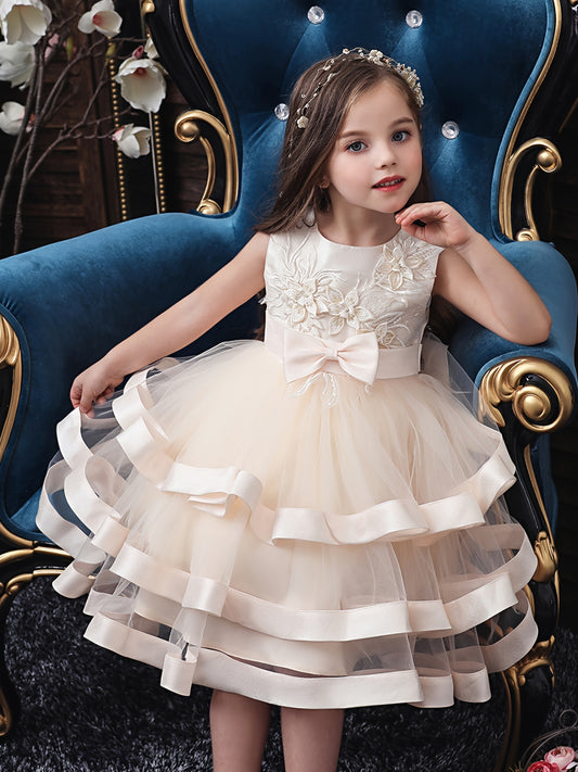 Girls Princess Embroidered Mesh Tutu Dress
