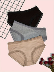 3 Pack Plus Size Lace Trim Seamless Briefs Set
