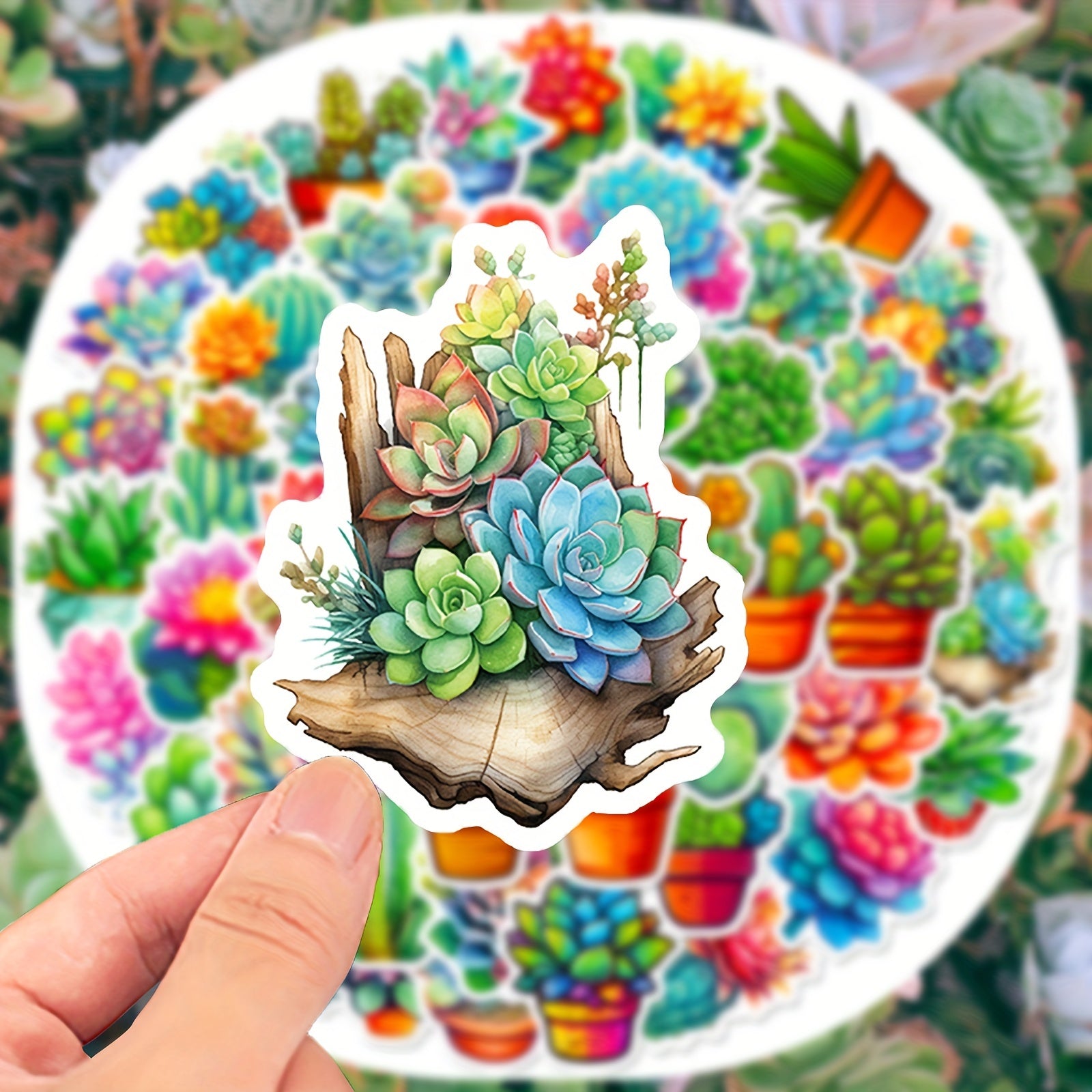 50pcs Succulent Cactus Stickers for Water Bottle Laptop Phone