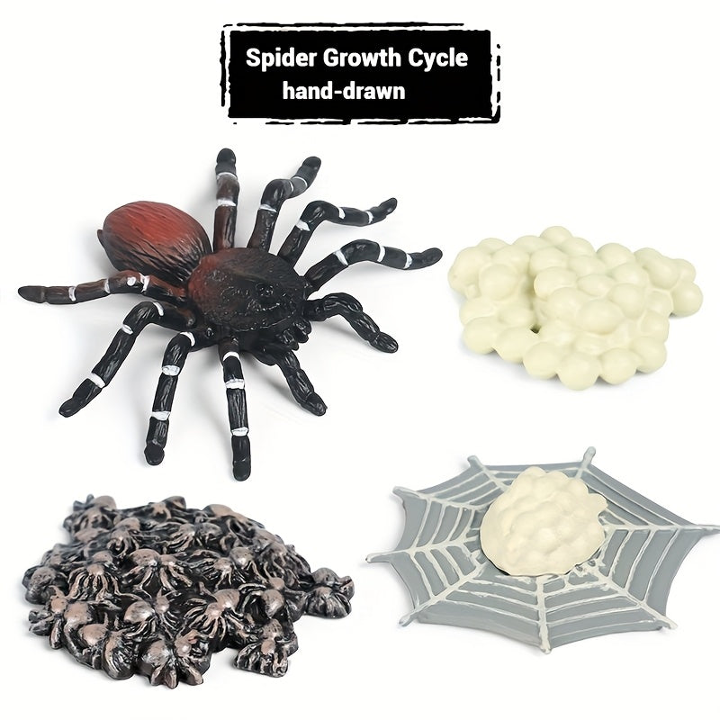 Spider Educational Simulation Models for Halloween Pranks