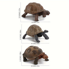 Realistic Turtle Model Toy for Wildlife Learning